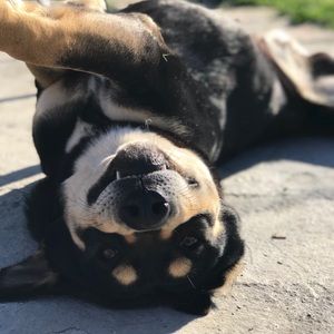 Meet your Posher, Lynn